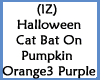 Cat Bat On Pumpkins O3Pu