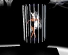 {CB}Playboy dance cage