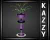 }KC{ Purple Haze Plant