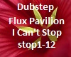 Music Flux Pavilion
