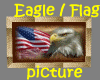 Eagle ~ Flag ~ picture
