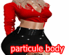 *A particule body