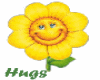 Smily Flower Hugs