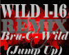 Wild (remix)