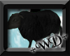 +WD+ P.R. Black Sheep