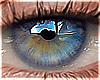 Eyes | Bright Blue