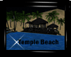 SW "Beach Nigth Temple