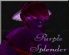 Purple Splender Bundle