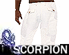 SCORP  Linen Pants
