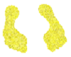 footprint st sp yellow