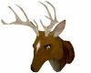 Mounted Deer Head