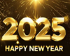 Happy New Year 2025