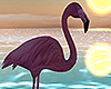 Mingo El Flamingo