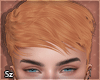 Sz l Darick Ginger