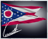 Ohio FLAG