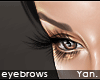 Y: eyebrows powder brwn