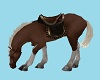 CK  Ranch  Horse  5