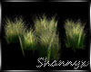 $ Bush Green Grass Anim