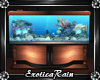 (E)Loso Loft: Fish Tank