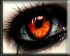 Orange Eye A1