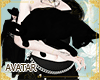 !A| Diva Cat black