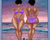 *D* Purple Bikini