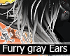Furry Gray Ears v.2