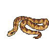 animated brown snake