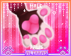 🌸; Amore Paws