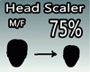 scaler head 75