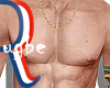 ® PERFECT BODY CHEST