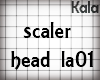 !A scaler head la01