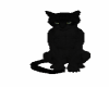 sheba black cat