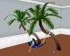 Palm Tree Hammock