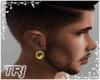 Small  Plugs Gold *TRj