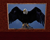 eagle picture