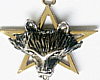 (RD)starwolf necklace 