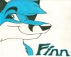 Finn furry