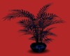 ~Dream~ CC Plant Ani