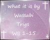 Wassabi-what it is remix