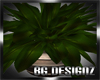 [BGD]Broad Leaf Plant