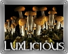 [LD] DJ Nature Mushrooms