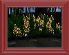 PARK FLOWERS 3