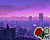 蝶 The Purple City