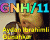 Aydan Ibrahimli - Gunahk