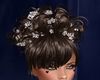 capelli perlexSposa
