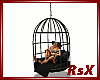 Romantic Hanging Cage /B