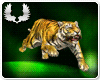 ANIMATED TIGER II