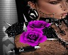 !TX-Purple Roses R