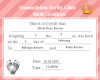 Olivia Birth Certificate